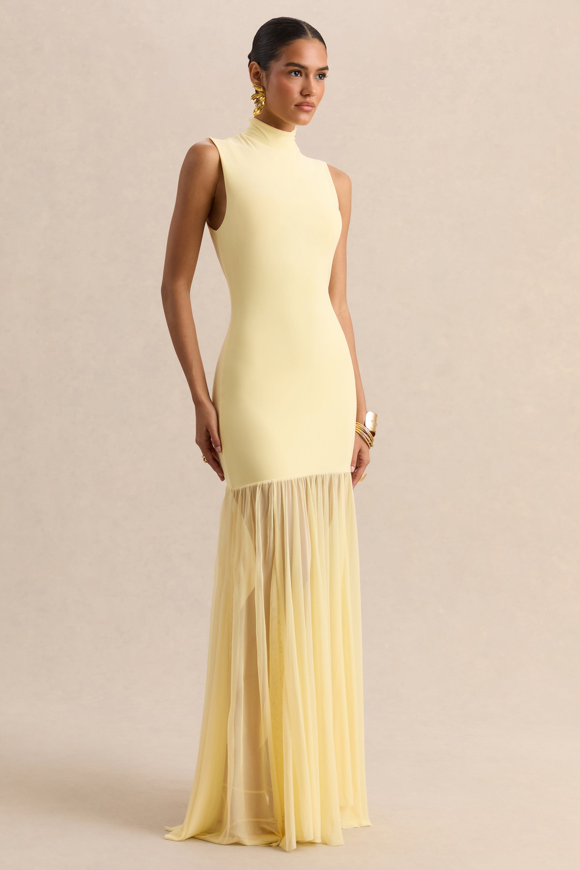 vera wang wedding dress she wore Curvy Plus Multi Print Maxi Sheer Dress 3X / Multi