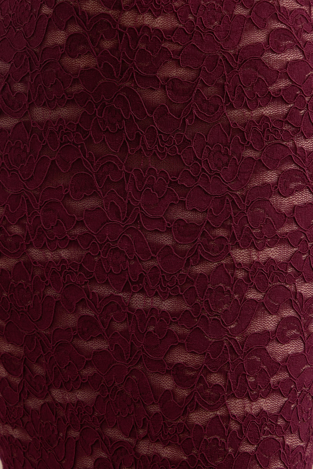 CL3819710206_CL138197102_-_Ivana___Burgundy_Lace_Bardot-Neck_Crop-Top_4